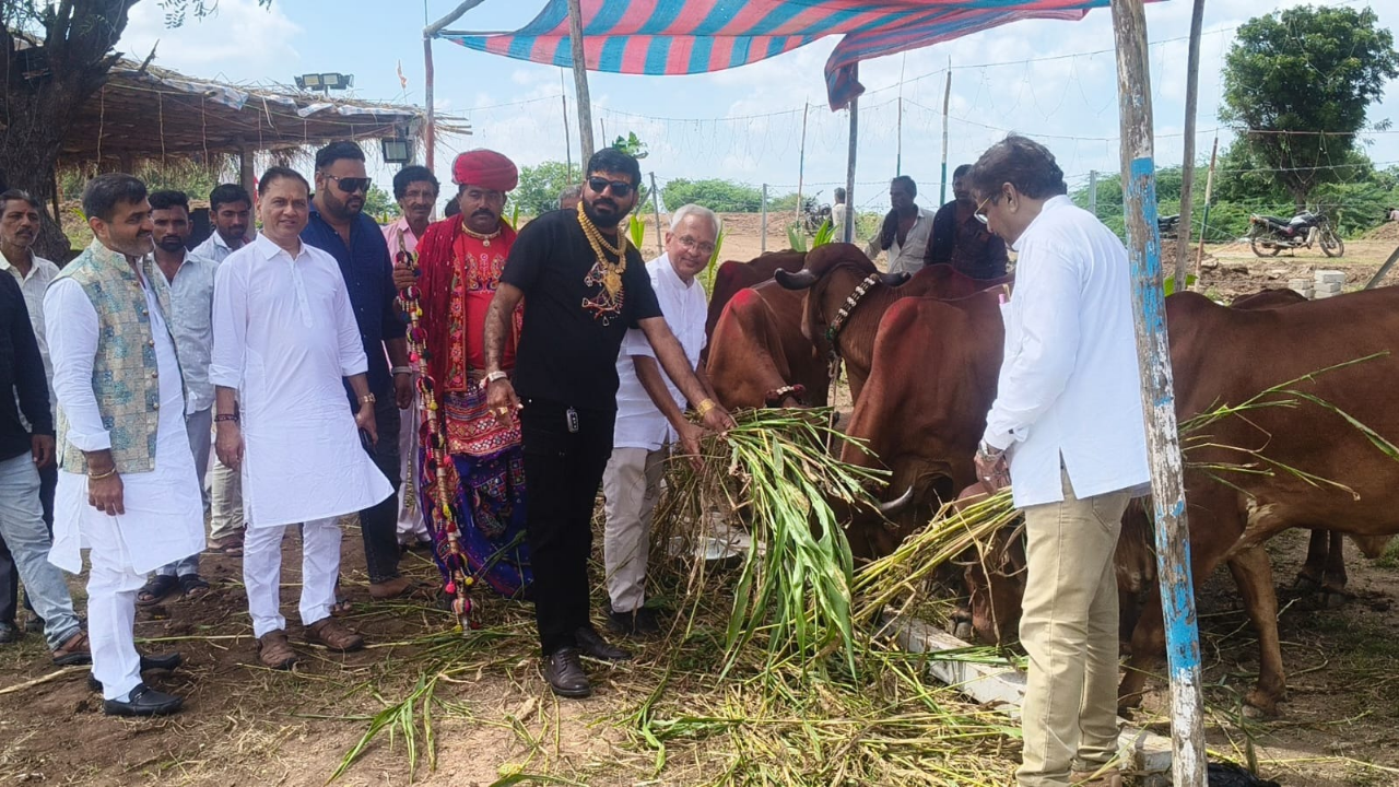 20251013_101000_0000