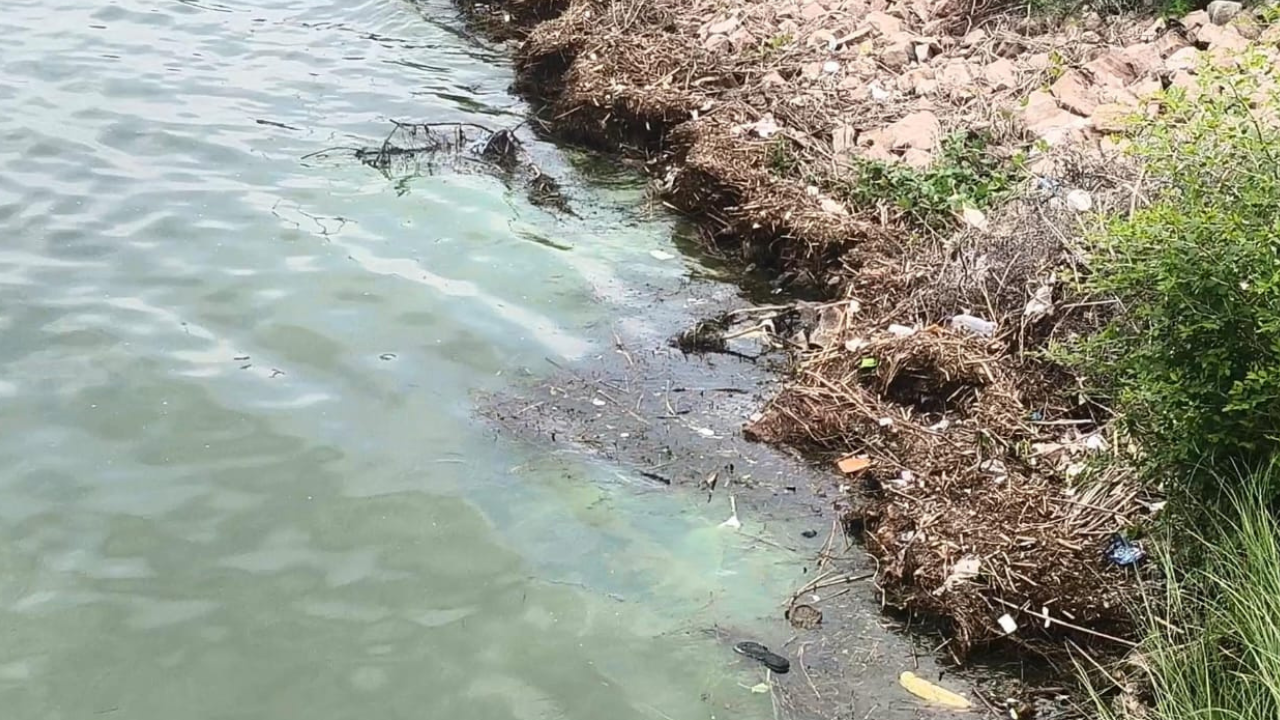 Untitled design_20251010_223552_0000