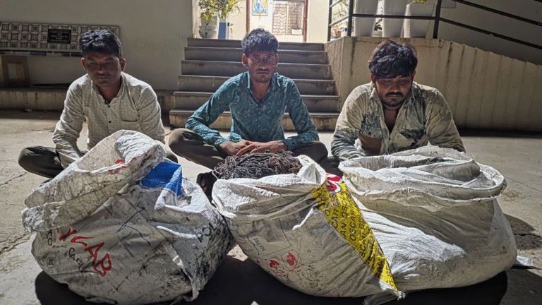 Untitled design_20251013_082504_0000