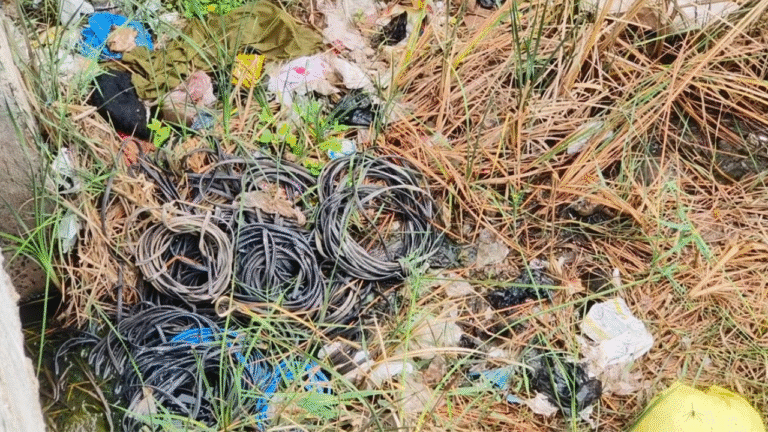 Untitled design_20251028_221608_0000