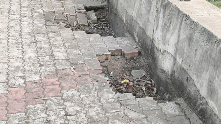 20251130_143921_0000