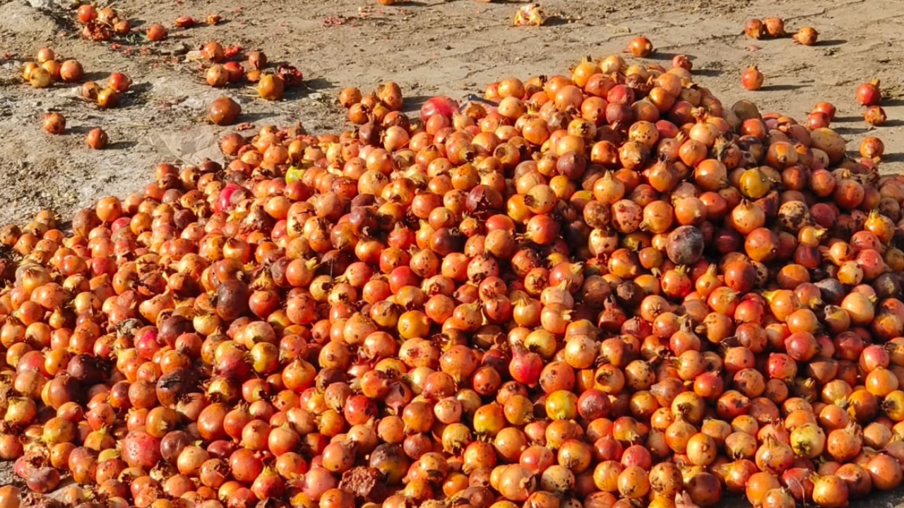 Untitled design_20251108_115725_0000