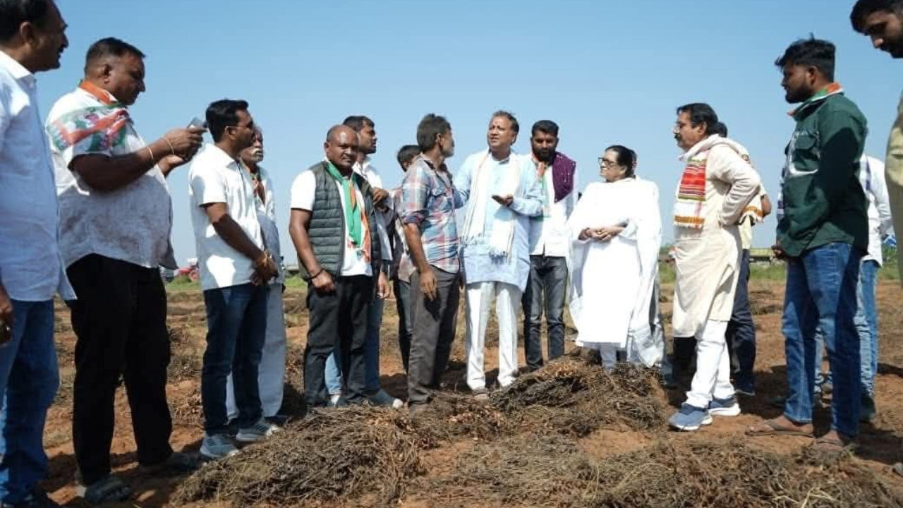 Untitled design_20251111_073521_0000