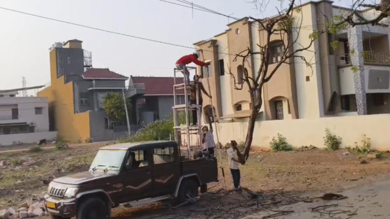 Untitled design_20251130_144554_0000