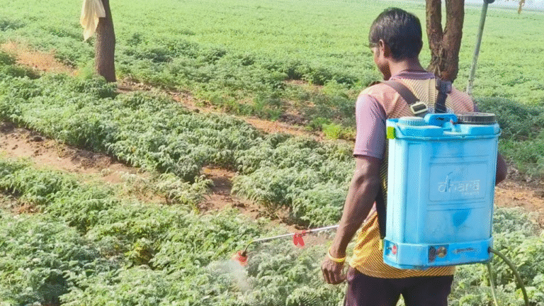 Untitled design_20251207_101520_0000