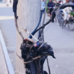 Untitled design_20251212_100637_0000