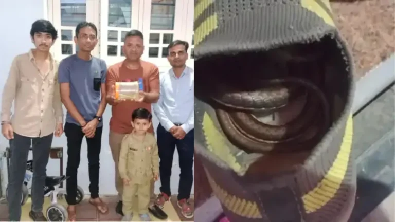 ધ્રાંગધ્રામાં બાળકના બૂટમાંથી નીકળ્યો સાપ: ઉનાળાની ગરમી વચ્ચે વન વિભાગની સાવચેતી રાખવા અપીલ