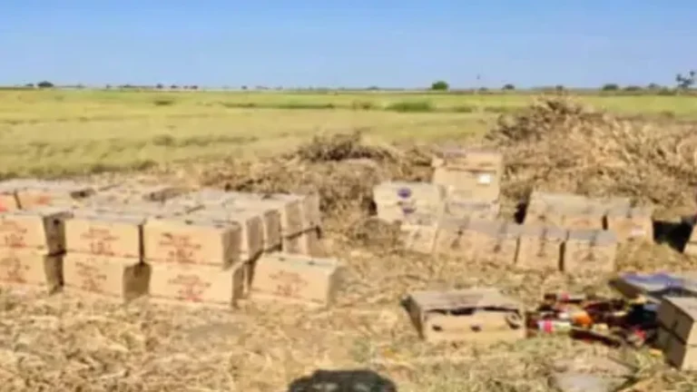 પાટડીના ઝેઝરીમાં ખેતરમાં કડબની આડશમાંથી ₹8.63 લાખનો વિદેશી દારૂ