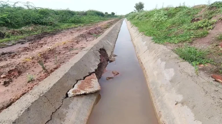 નર્મદા કેનાલો રિપેરિંગના નામે 1લી માર્ચથી બંધ: ઉનાળુ પાક પર સંકટથી સુરેન્દ્રનગરના ખેડૂતોમાં ભારે રોષ