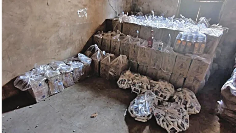 સાયલાના ભાડુકામાં LCBનો દરોડો: શાળા પાછળથી ₹24 લાખનો વિદેશી દારૂ ઝડપાયો