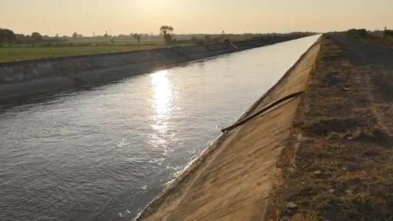 ખેડૂતોને આશ્વાસન નહીં પણ નક્કર પગલાંની આશા: ધ્રાંગધ્રામાં કેનાલ બંધ થવાના નિર્ણયથી ખેડૂતો ચિંતાતુર