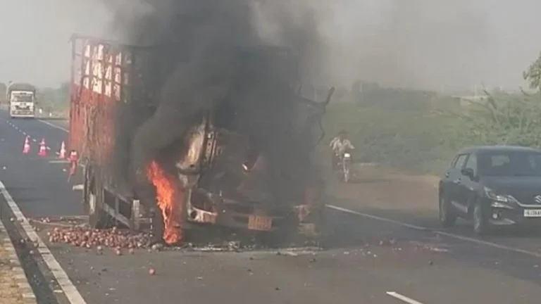 માલવણ-કચ્છ હાઈવે પર અકસ્માત બાદ આઈશર ટ્રકમાં ભીષણ આગ: દાડમનો જથ્થો ખાખ, ચાલક-ક્લીનર ઈજાગ્રસ્ત