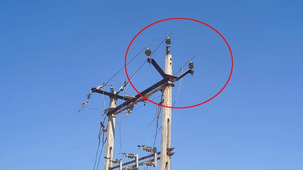 લીંબડી પંથકમાં તસ્કરોનો આતંક: રાસકા ગામે 70થી વધુ વીજ પોલ પરથી તારની ચોરી કરી તસ્કરો ફરાર