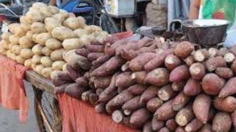 મહાશિવરાત્રી