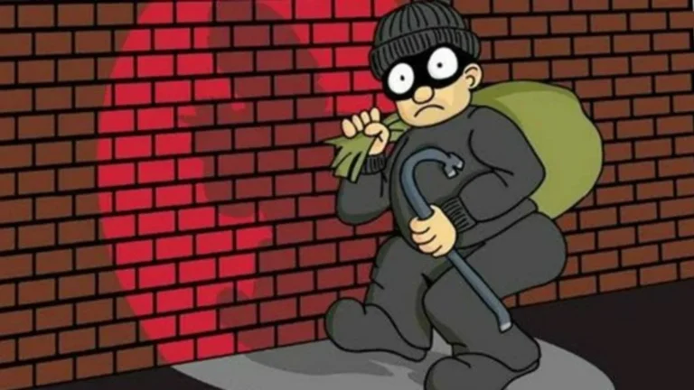 Theft robbery ચોરી