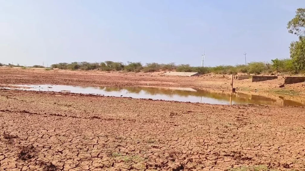 સુરેન્દ્રનગરના મુળી અને ચોટીલા પંથકમાં જળસંકટ: તળાવો ખાલી થતાં માલધારીઓની હિજરત શરૂ