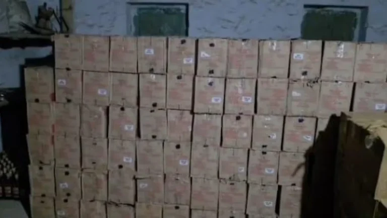 વઢવાણના બલદાણા પાસે પશુઆહારની આડમાં દારૂની હેરાફેરી ઝડપાઈ: ₹97.74 લાખનો મુદ્દામાલ જપ્ત