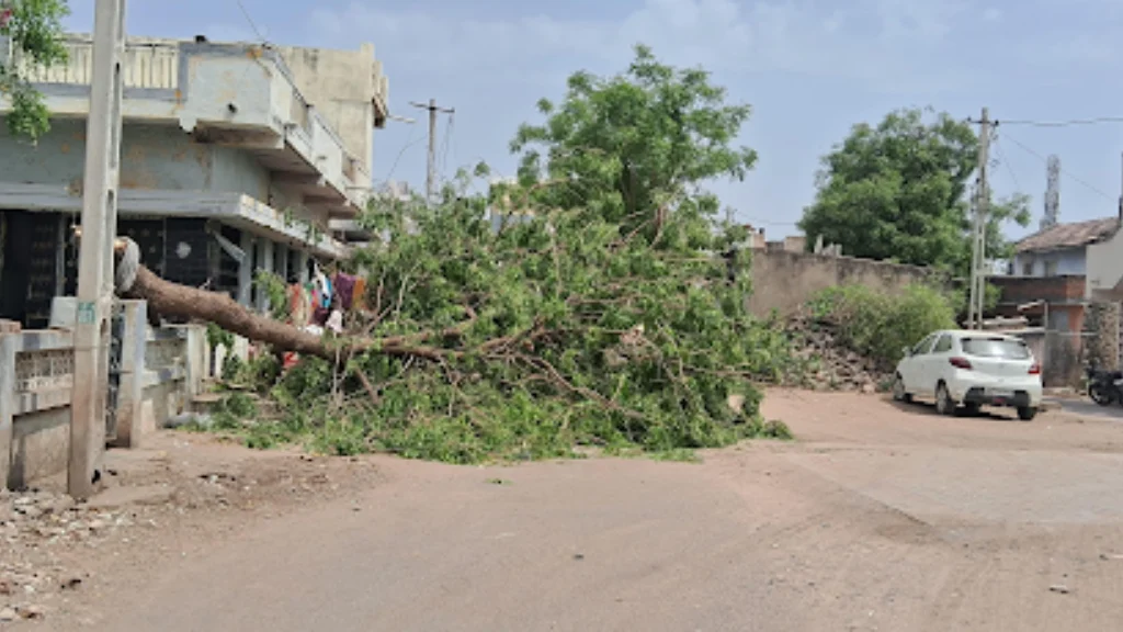 વઢવાણ ભારે પવનના કારણે નવા દરવાજા વિસ્તારમાં ઝાડ ધરાશાયી
