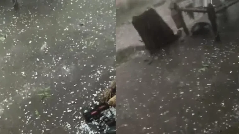 ચોટીલામાં કમોસમી વરસાદ સાથે કરા પડ્યા: વરિયાળીનો પાકને નુકસાન