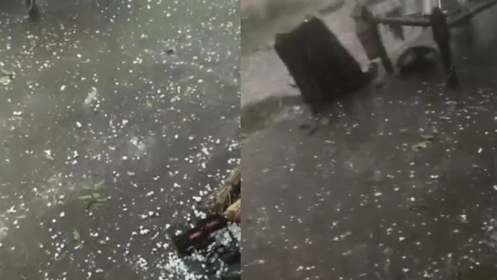 ચોટીલામાં કમોસમી વરસાદ સાથે કરા પડ્યા: વરિયાળીનો પાકને નુકસાન