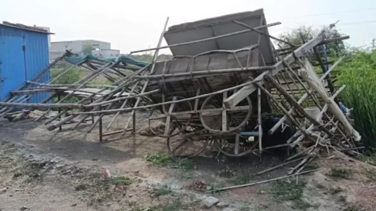 લખતરમાં 50 કિમીની ઝડપે ફૂંકાયેલા પવનથી છાપરા ઉડ્યા અને વૃક્ષો ધરાશાયી