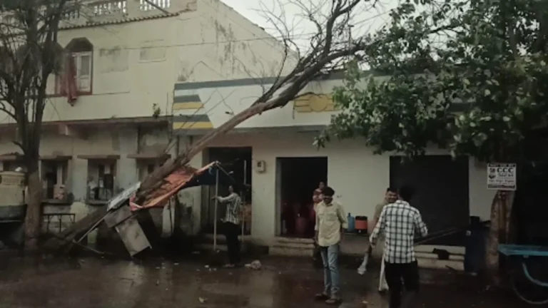 થાનમાં વાવાઝોડા સાથે માવઠાનો કહેર: ફેક્ટરીઓના પતરા ઉડ્યા અને વિશાળ વૃક્ષો ધરાશાયી