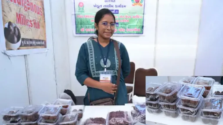 વઢવાણ મિલેટ મહોત્સવ: રાગી  ના પૌષ્ટિક લાડુ અને પાપડ બન્યા આકર્ષણનું કેન્દ્ર