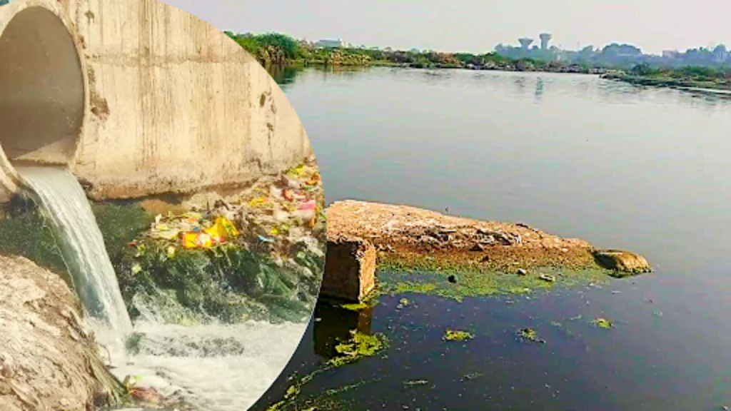 ભોગાવો નદીને પ્રદૂષણમુક્ત કરવા પાલિકાનો એક્શન પ્લાન: 1 કરોડના ખર્ચે દૂષિત પાણીનો નિકાલ અટકાવશે