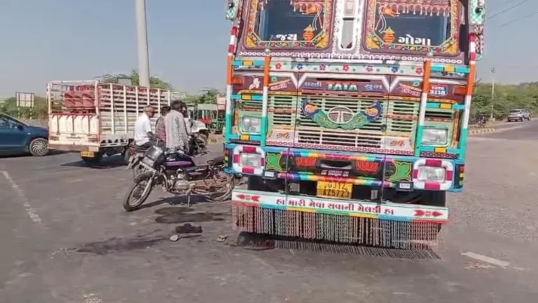 ધ્રાંગધ્રા કુડા ચોકડી પાસે ટ્રકની અડફેટે મહિલાનું મોત: બેફામ ડમ્પર ચાલક વિરુદ્ધ પોલીસ ફરિયાદ