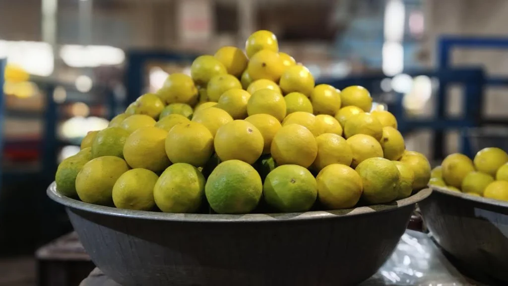 સુરેન્દ્રનગરમાં ઉનાળાના પ્રારંભે જ લીંબુના ભાવ રૂ.200 પ્રતિ કિલોએ પહોંચ્યા