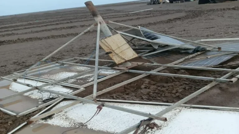 Surendranagar Agariya Loss