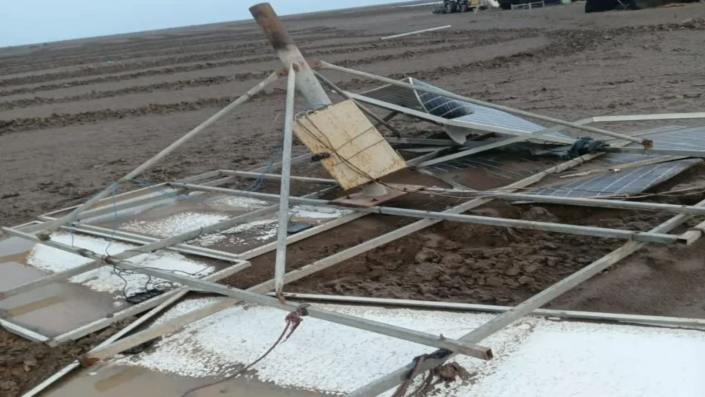 Surendranagar Agariya Loss