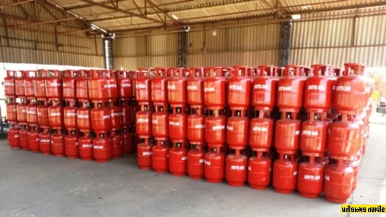 sayla-gautam-gas-agency-mamlatdar-checking-irregularities