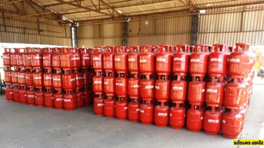 sayla-gautam-gas-agency-mamlatdar-checking-irregularities