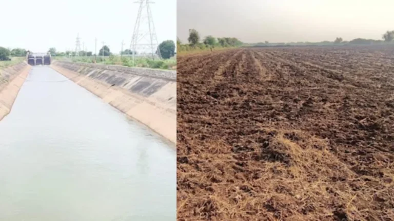 નર્મદા વિભાગની બેદરકારી: કેનાલો બંધ કરવાની ખોટી સૂચનાથી સુરેન્દ્રનગરના ખેડૂતો ઉનાળુ પાકનું વાવેતર ન કરી શક્યા