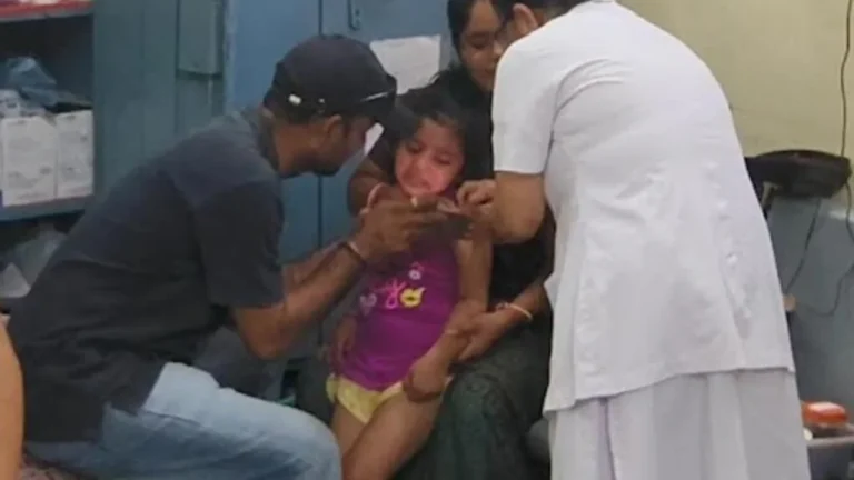 સુરેન્દ્રનગરમાં રખડતા પશુઓનો આતંક: એક જ મહિનામાં 522 લોકોને બચકા ભર્યા