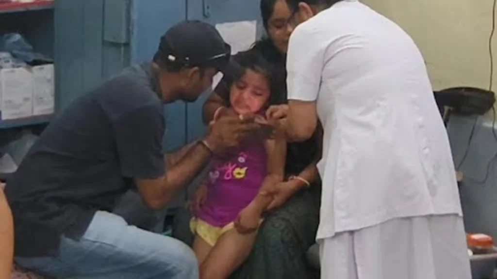 સુરેન્દ્રનગરમાં રખડતા પશુઓનો આતંક: એક જ મહિનામાં 522 લોકોને બચકા ભર્યા