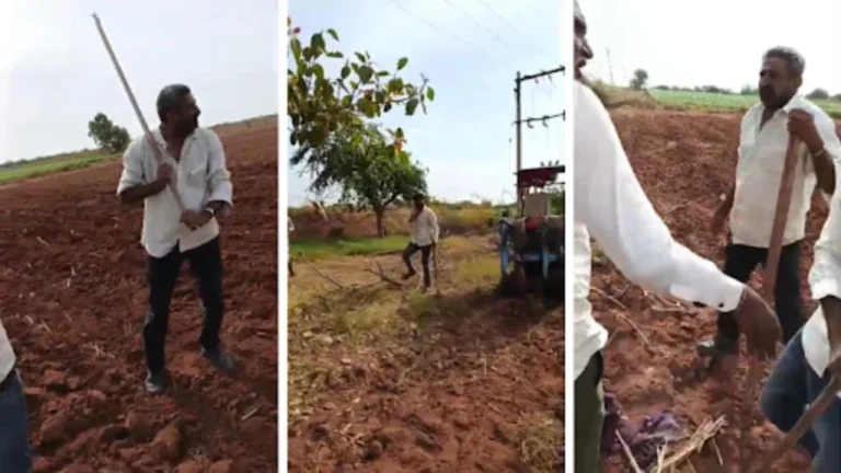 મુળીના લીયા ગામમાં ઝાડ કાપવા બાબતે બે જૂથો વચ્ચે સામસામે ધીંગાણું, 7 ઇજાગ્રસ્ત