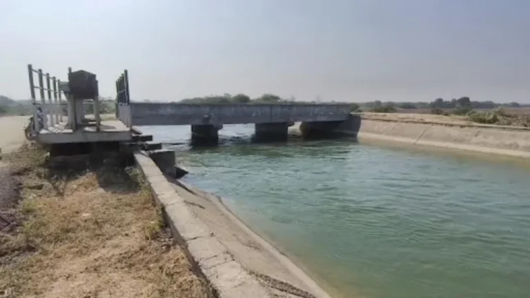 વઢવાણમાં જર્જરિત નર્મદા કેનાલોમાં ગાબડાં પડતા 50 થી વધુ ખેતરો બંજર, રિપેરિંગની માંગ
