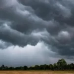 સુરેન્દ્રનગરમાં માવઠાની આગાહી: કમોસમી વરસાદથી પાક બચાવવા ખેતીવાડી વિભાગની ખેડૂતોને અપીલ