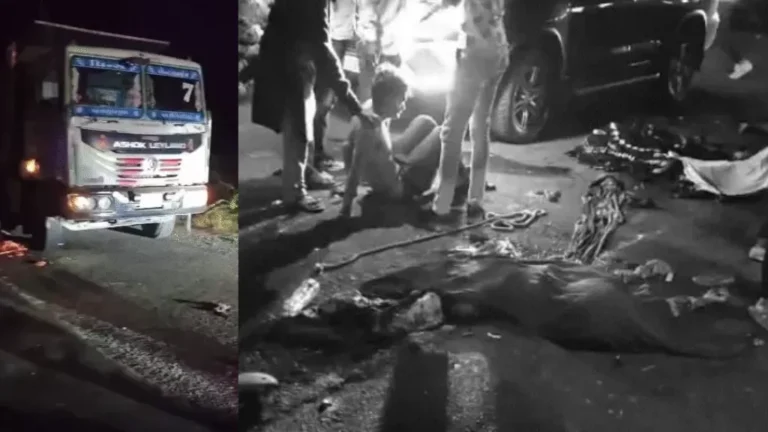 truck hit pedestrian at Bhaskarpara Village lakhtar 7 dead