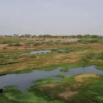 BHOGAVO NADI NEW