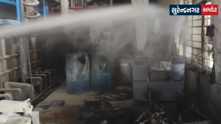 wadhwan gidc Rimtex Engineering short circuit fire accident 1