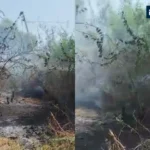 surendranagar-ganpati-phatsar-area-fire-incident