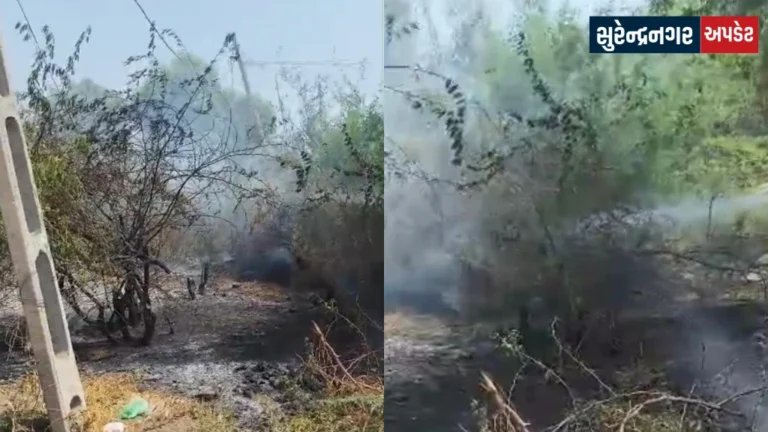 surendranagar-ganpati-phatsar-area-fire-incident