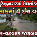 Surendranagar Rainfall Update