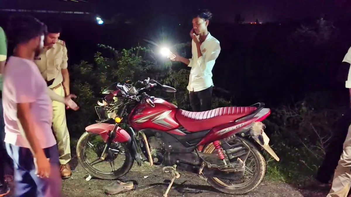 surendranagar-wadhwan-lakhtar-road-accident-mother-son-death