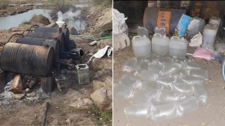 Bhavanigarh Muli illegal liquor raid Rajkot Range IG team Surendranagar