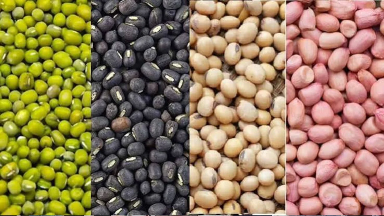 Gujarat Govt to buy Groundnut Moong Urad Soybean at MSP