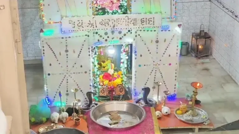 Nag Panchami celebration at Charmaliya Dev Temple Wadhwan Surendranagar